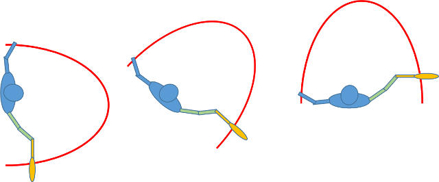 単なる円ではなく、体の回転に伴いスイング軌道も動いていく 1