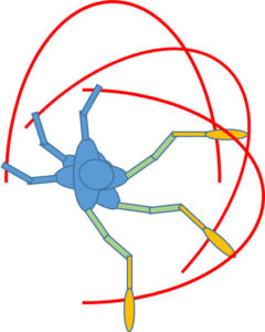 単なる円ではなく、体の回転に伴いスイング軌道も動いていく 2